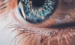Featured image of post 最厉害的sensor---Human Eyes